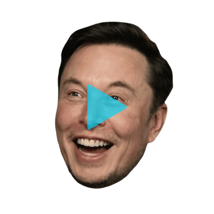 Elon Musk Icon